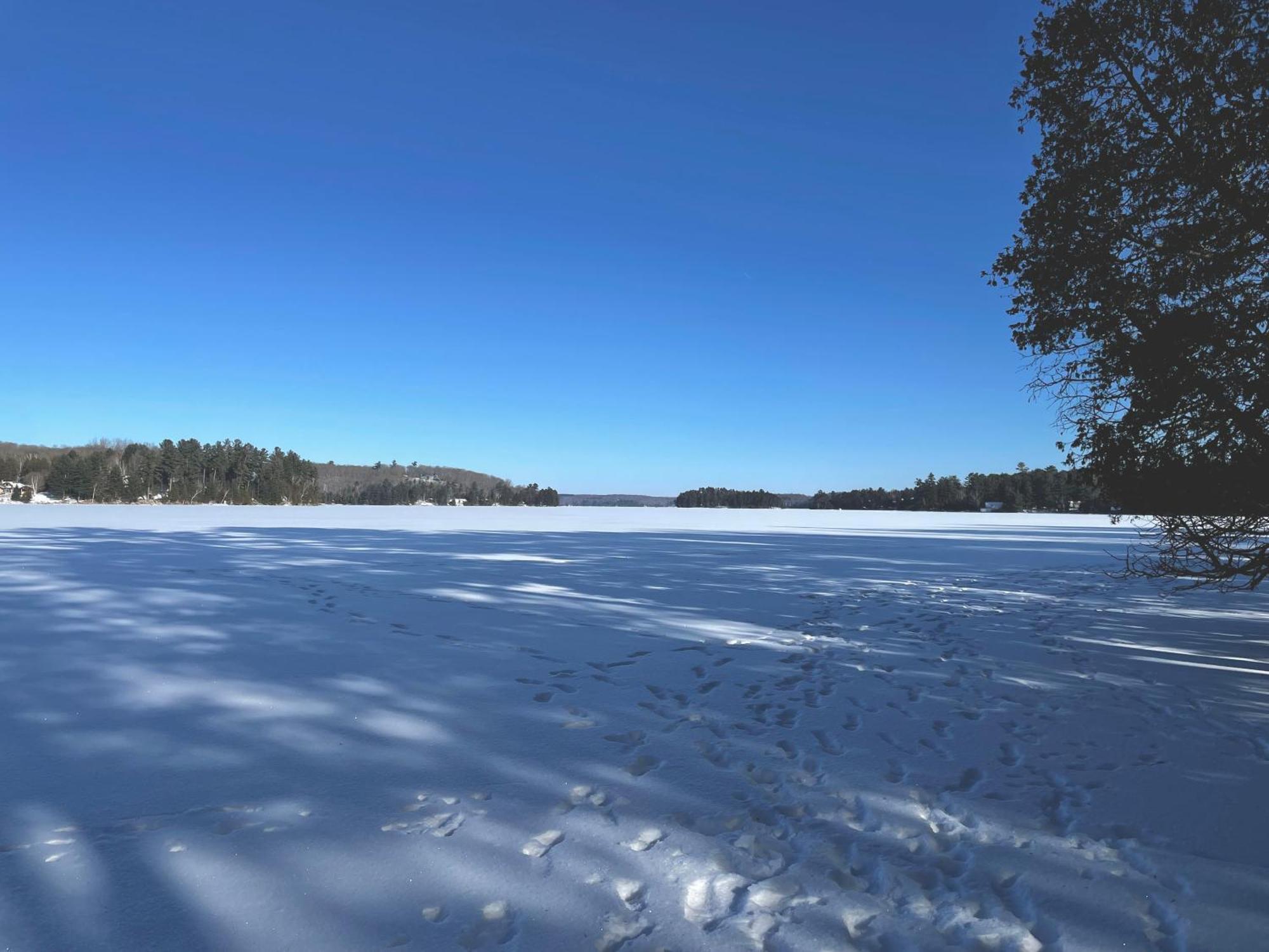 Haliburton Post House Hotel Minden Ngoại thất bức ảnh